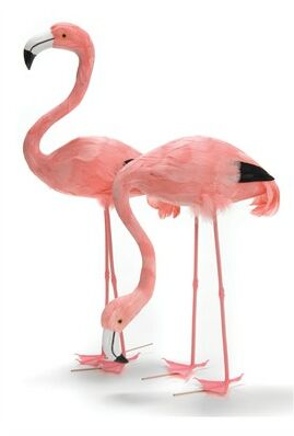 Pink Flamingo Display