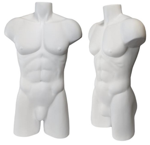 Muscular Men's Display, Underwear Display,  Underwear Form, Male Display Torso, T-Shirt  Display