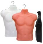 Display Male Body Forms, Display Male Torso