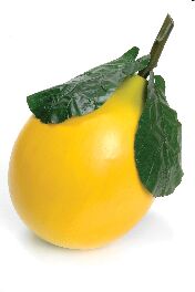 Lemon Display Prop Store Fruit Vegetable
