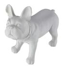 French Bulldog Mannequin
