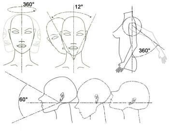 positions of display mannequin