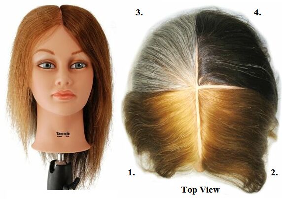 color practice hair mannequin head training student hair salon beauty school